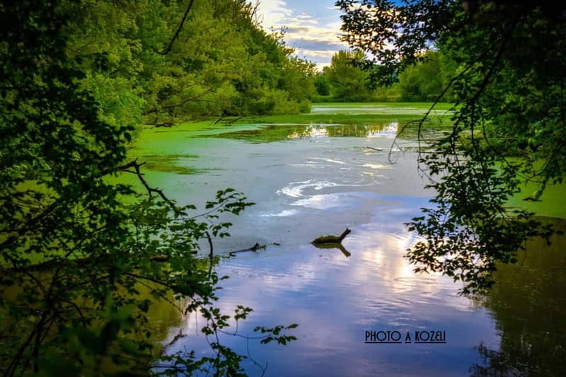 Mantua: Morning boat tour + Afternoon: guided visit to the city center - Key points / Takeaways