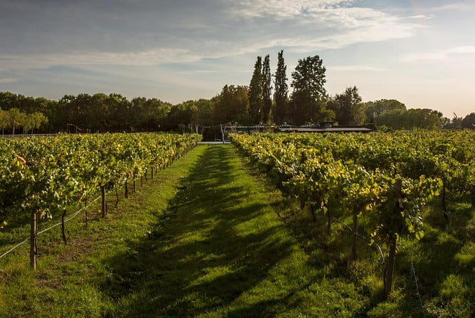 Maranello: Ferrari Museum & Balsamic Vinegar Tour - Entering the World of Ferrari and Balsamic Vinegar