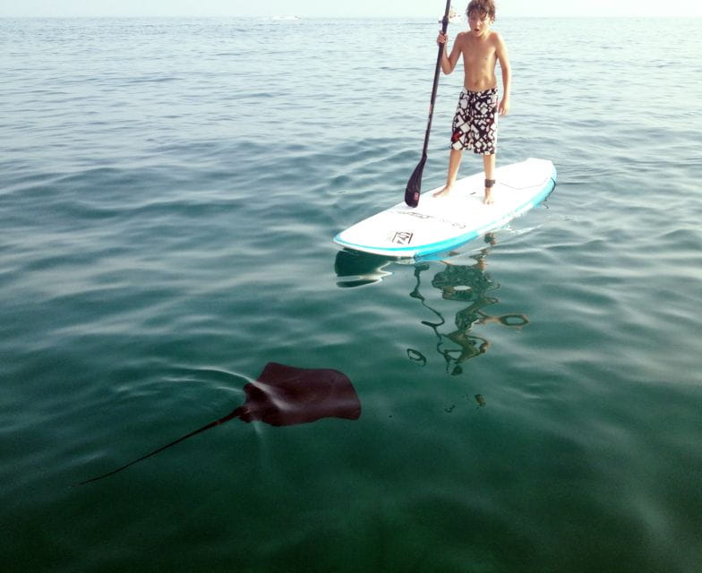 Marbella Bay Stand Up Paddleboarding Tour - Tips for Participants