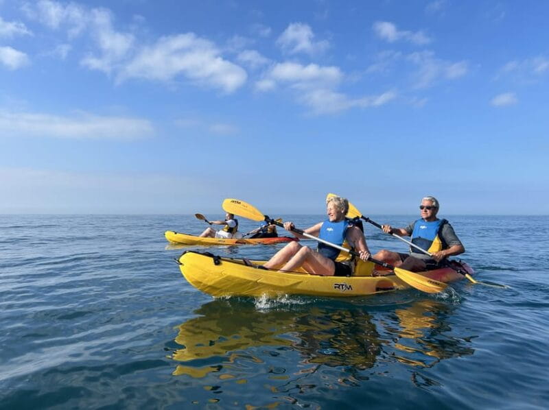 Marbella: Guided Kayak Tour in Puerto Banús - Key Points / Takeaways