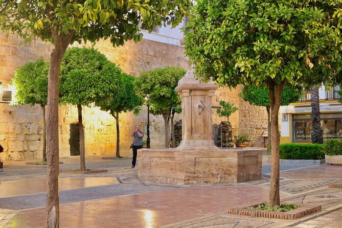 Marbella Old Town: Authentic Tapas Food Tour With Local Guide - Potential Drawbacks and Considerations