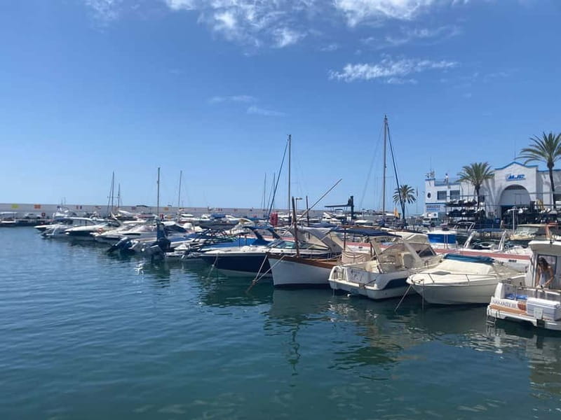 Marbella: Private guided city tour with tapas tasting - Key points / Takeaways