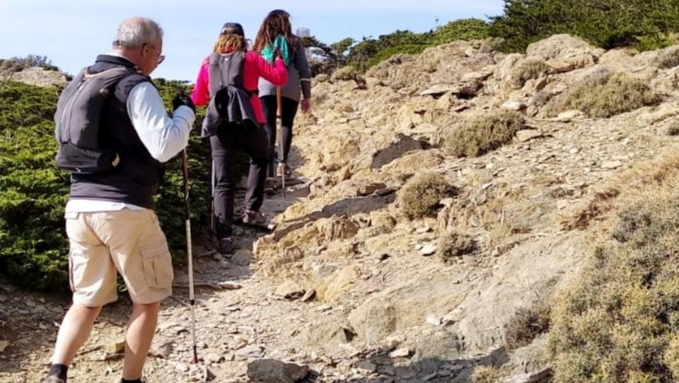 Marbella: Sierra De Las Nieves National Park Hiking Day Trip - Group Type and Inclusions
