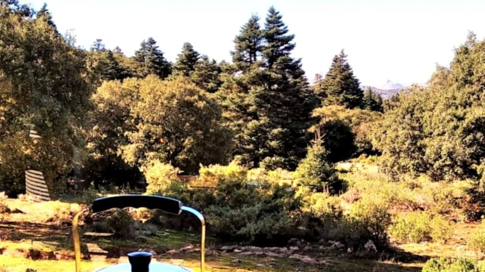 Marbella: Sierra De Las Nieves National Park Hiking Day Trip - Exploring the National Park