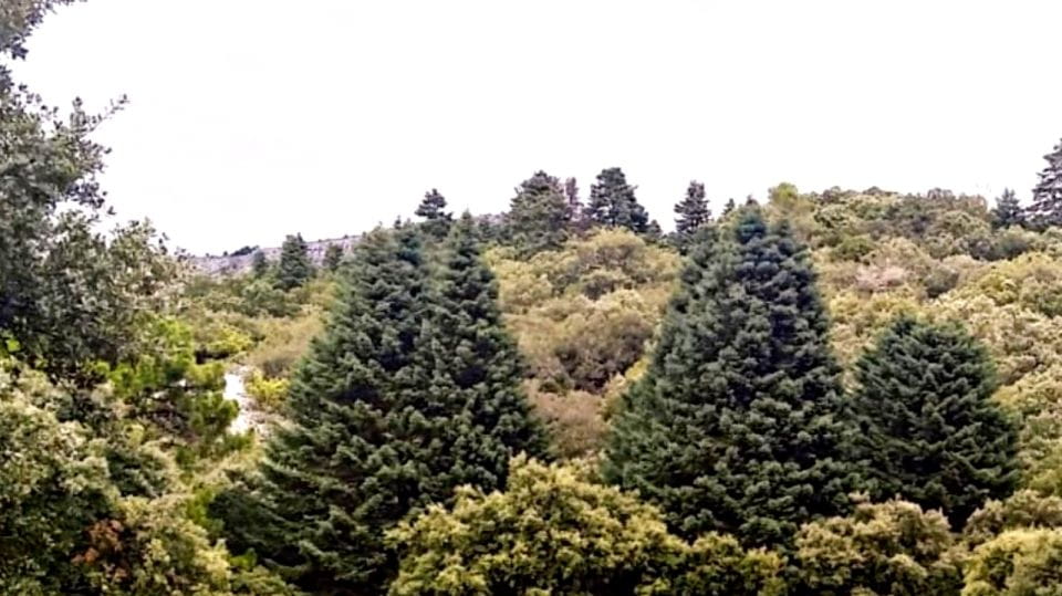 Marbella: Sierra De Las Nieves National Park Hiking Day Trip - Birdwatching at the Pond