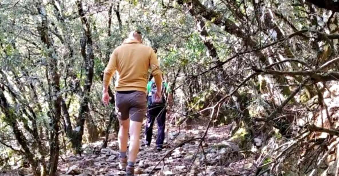Marbella: Sierra De Las Nieves National Park Hiking Day Trip - Sierra De Las Nieves National Park History and Ecology