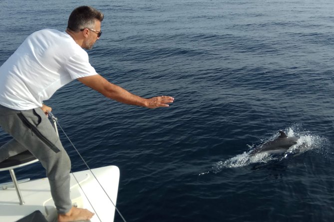 Marbella Small Group Catamaran With Dolphin Watching - Confirmation and Accessibility