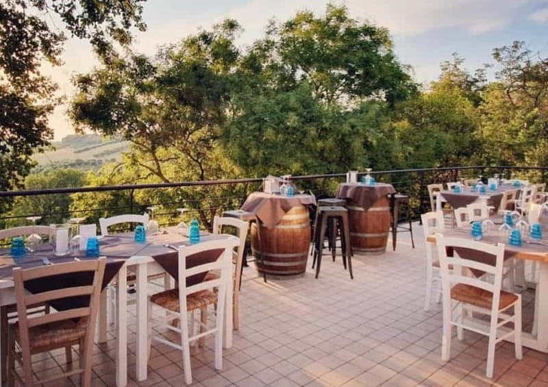 Marche Wines: Explore the Richness of Local Flavors - Key points / Takeaways