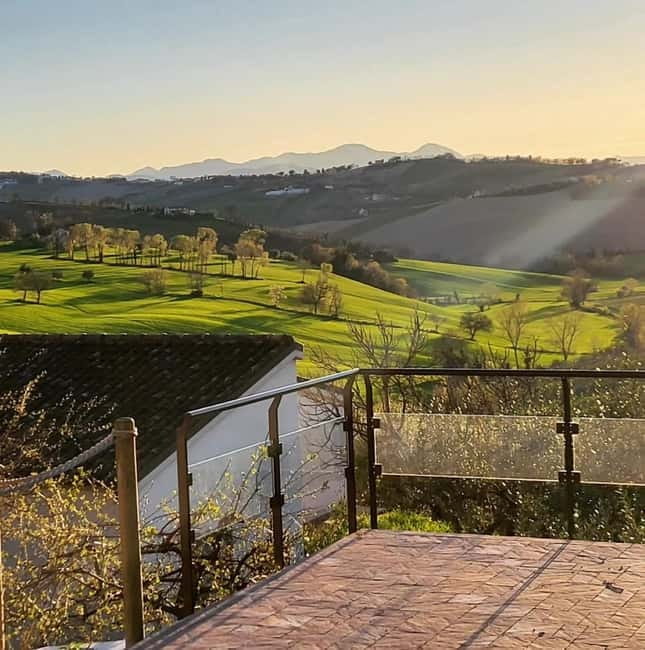 Marche Wines: Explore the Richness of Local Flavors - The Food Pairing: More Than Just a Snack