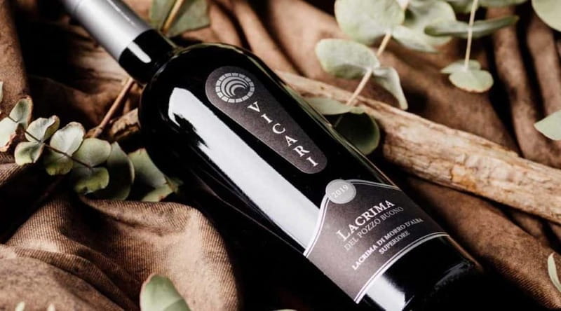 Marche Wines: Explore the Richness of Local Flavors - Who Should Consider This Experience?