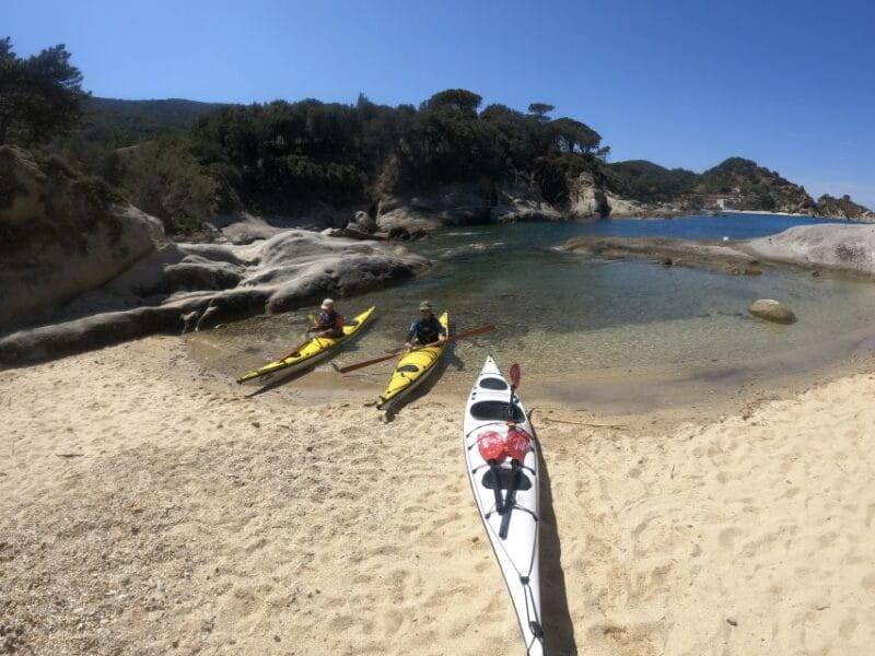Marciana Marina: Elba Island Full-Day Kayaking Tour - The Itinerary: What a Day on Elba Looks Like