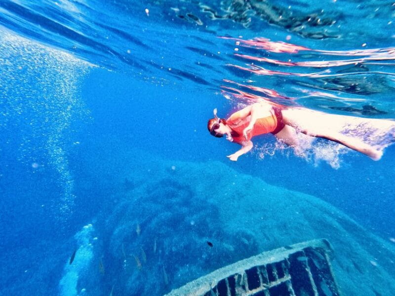 Marciana Marina: Elba Island Full-Day Kayaking Tour - The Sum Up