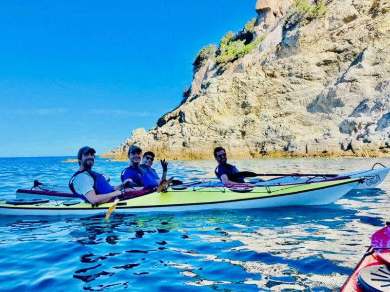 Marciana Marina: Elba Island Full-Day Kayaking Tour - Frequently Asked Questions