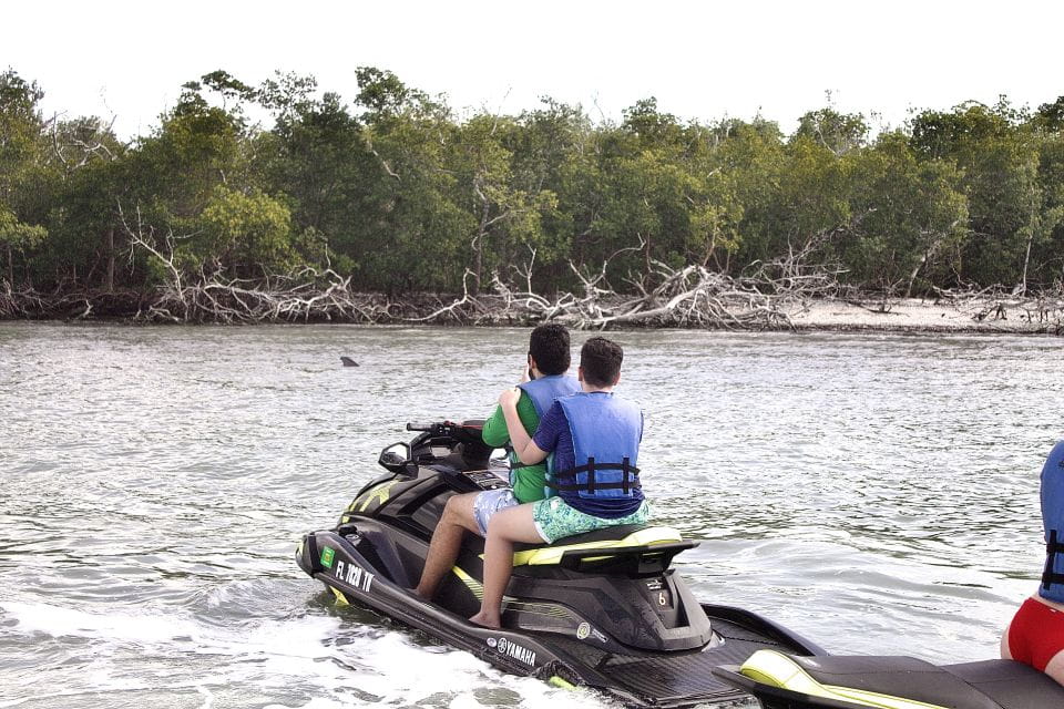 Marco Island: Ten Thousand Island Jet Ski Guided Tour - Key Points