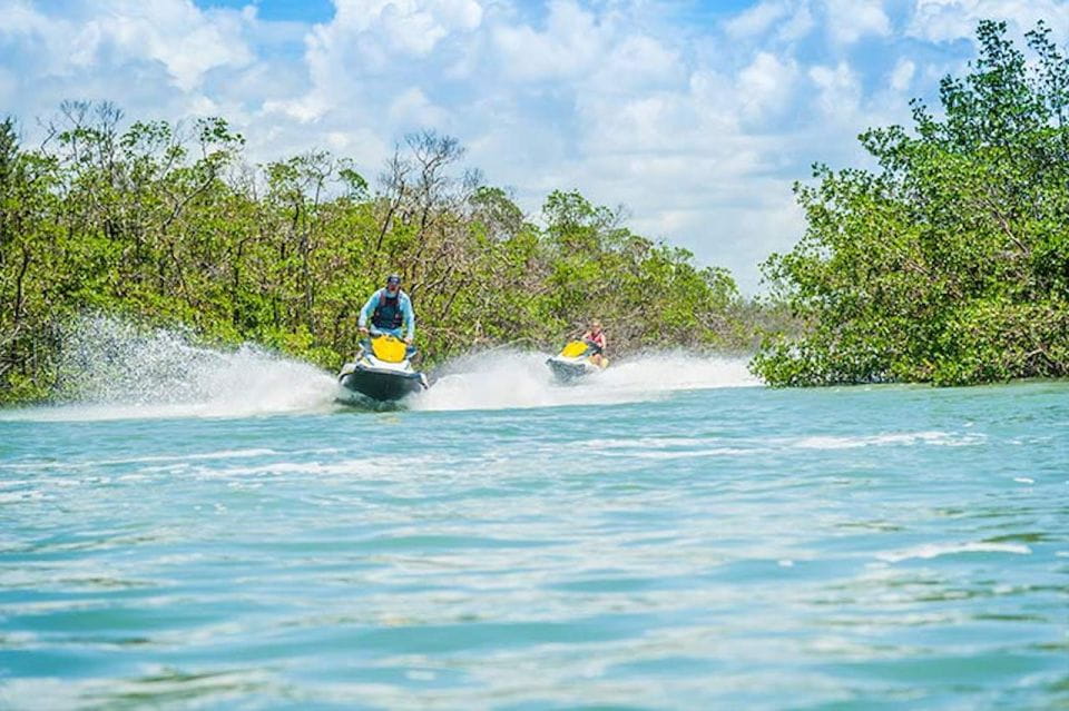 Marco Island: Ten Thousand Island Jet Ski Guided Tour - Wildlife Sightings and Encounters