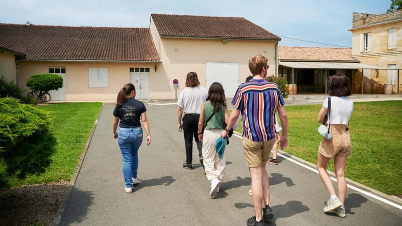 Margaux - Guided tour of the château and tasting of 4 wines - The Experience Breakdown: What to Expect