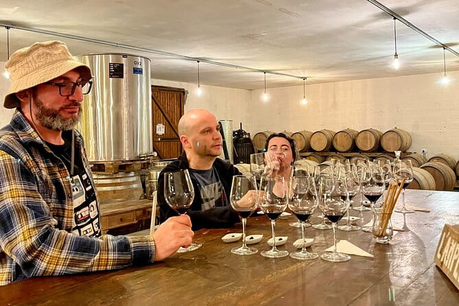 Margaux & Médoc: half day private tour in a classic car - Practical Tips: What to Expect and Who Will Love It