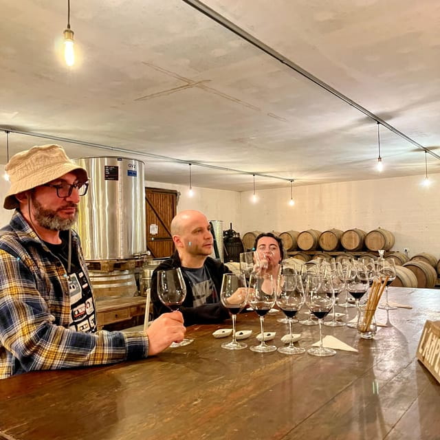 Margaux & Médoc private FULL day tour with a classic car - Key points / Takeaways