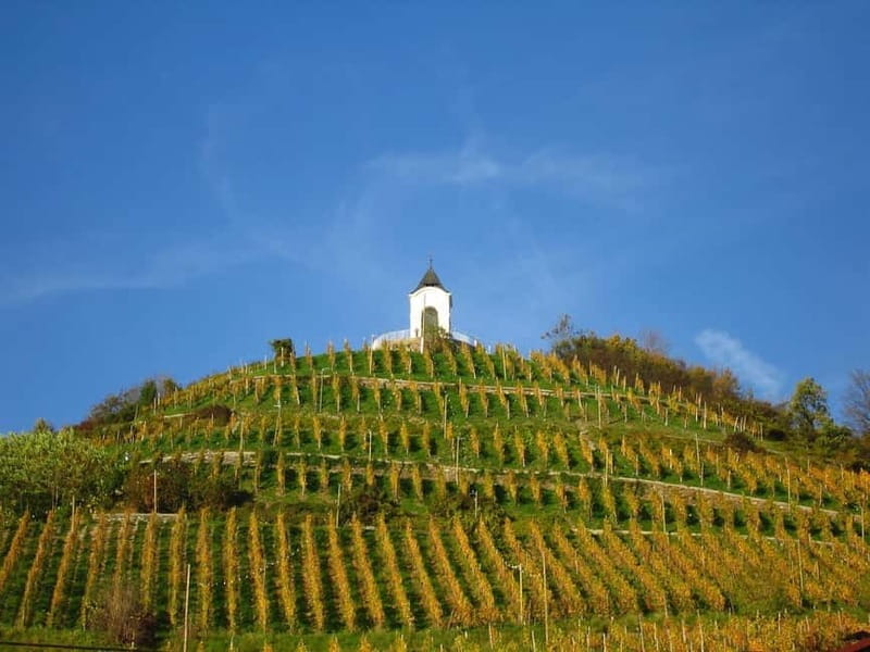 Maribor & Styria Tour with Wine Tasting - Practical Considerations and Who Will Love This Tour