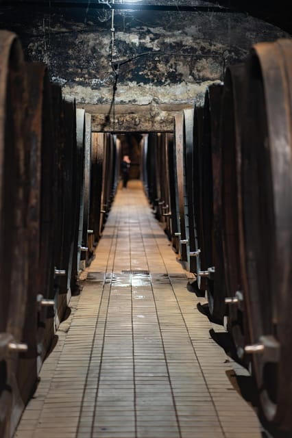 Maribor: Vinag Wine Cellar Tour with Wine tasting and snacks - Tasting Wines and Enjoying Snacks