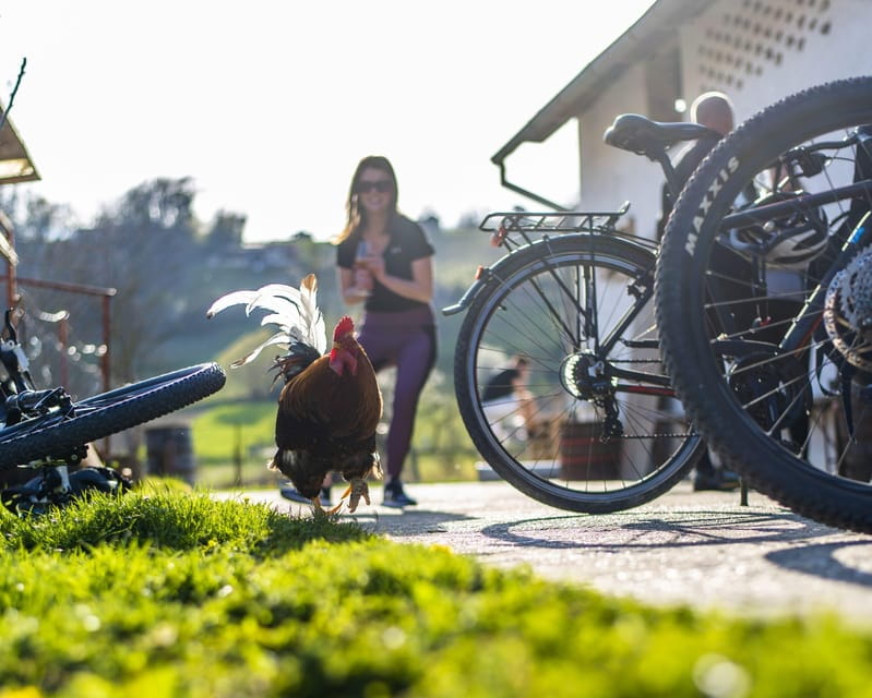 Marija Bistrica: E-bikes to the Wineries of Zlatar City - Who This Tour Suits Best