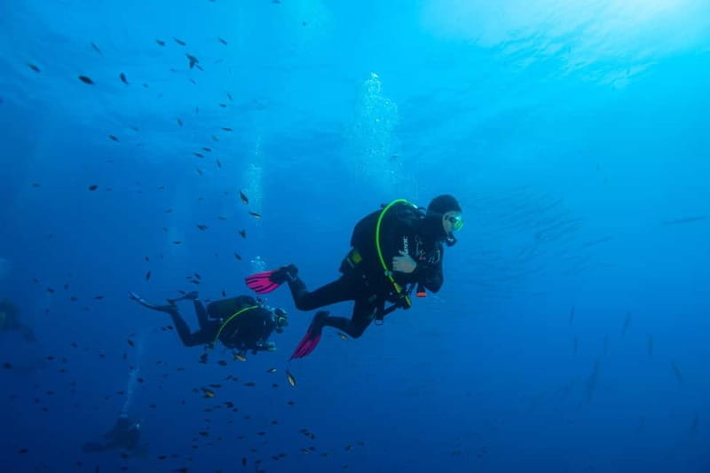 Marina di Campo: diving on the island of Elba - Who Is This Experience Best For?