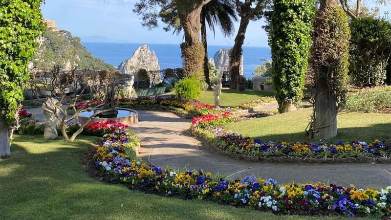 Marina Grande: Guided Capri Island Hop-On Hop-Off Bus Tour - Who This Tour Works Best For