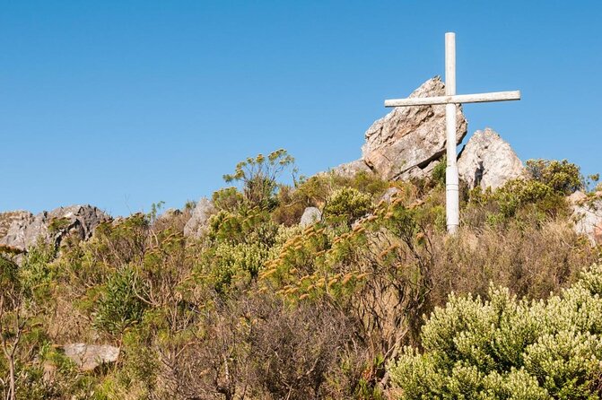 Marine Big 5 Full Day Guided Return Transfer Cape Town - Gansbaai - Key Points