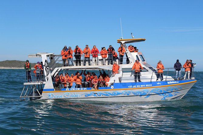 Marine Big 5 Full Day Guided Return Transfer Cape Town - Gansbaai - Traveler Information