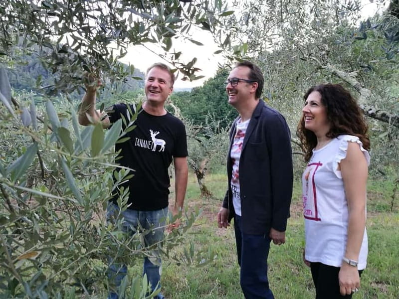 Marliana: Tuscan Olive Oil Tour with Dinner - Entering the Olive Oil World at Tananei