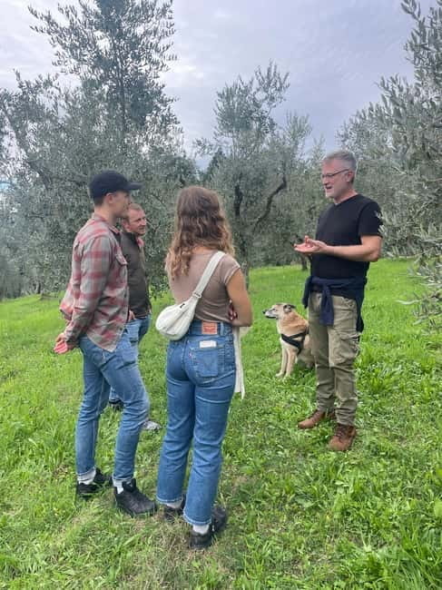 Marliana: Tuscan Olive Oil Tour with Dinner - Price and Logistics