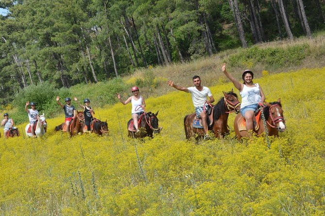 Marmaris Horse Safari - Key points / Takeaways