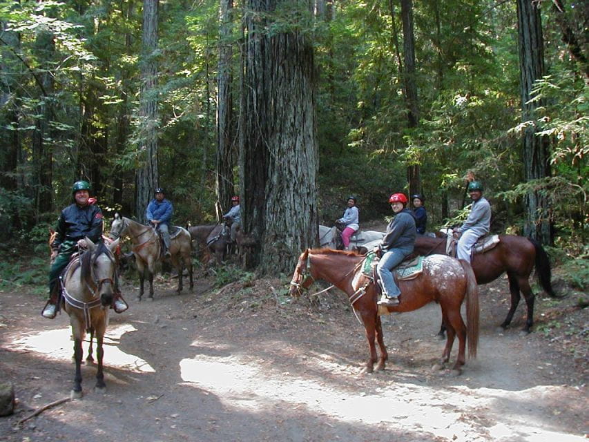 Marmaris National Park: Horse Safari - Photos and Souvenir DVD
