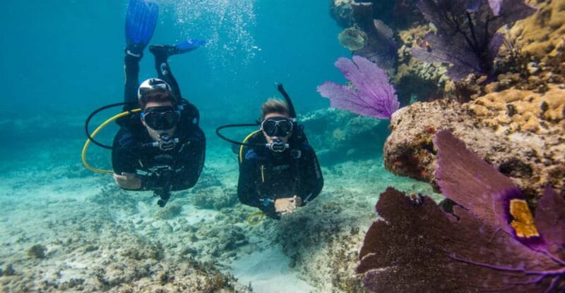 Marmaris: Scuba Diving Experience - Exploring the Itinerary in Detail