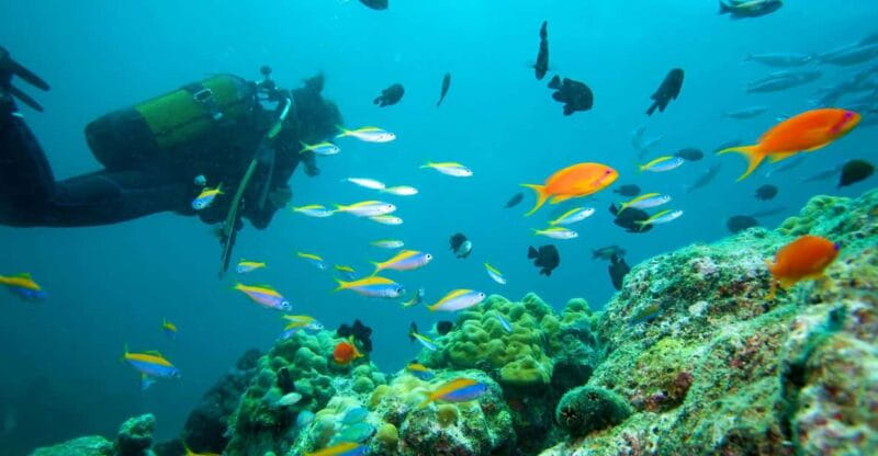 Marmaris: Scuba Diving with a Qualified Instructor - What Makes This Tour Special? The Underwater World of Marmaris