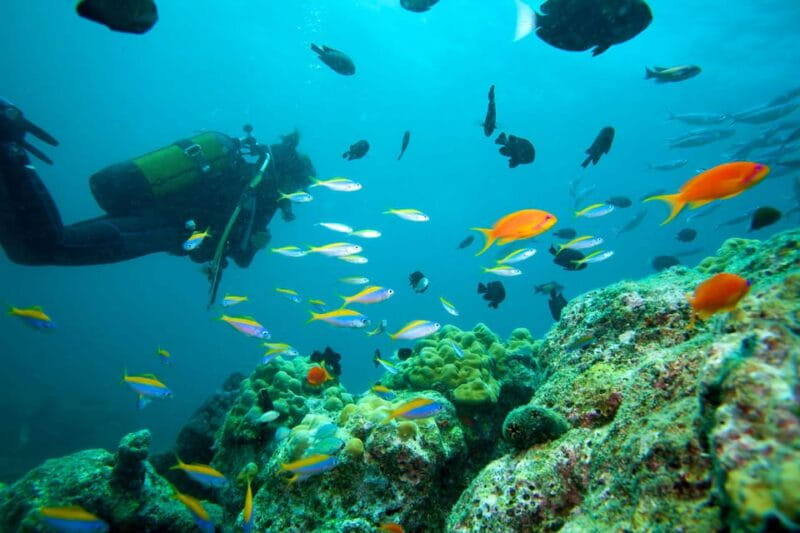 Marmaris: Scuba Diving with a Qualified Instructor - Learning and Accessibility: Who Is This Tour For?