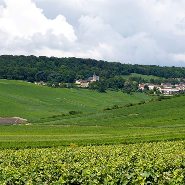 Marne: Champagne Region Private Day Tour with Lunch - Who Will Love This Tour?