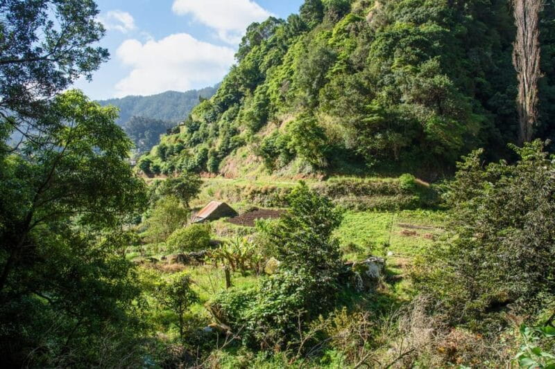 Maroços Madeira Island Levada Walk - Logistics, Value, and Practical Tips