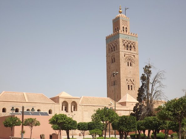 Marrakech Day Trip From Agadir & Taghazout - Experience and Accessibility