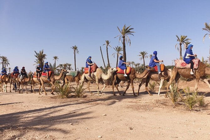 Marrakech Desert Camel Ride - Tour Ratings and Accolades