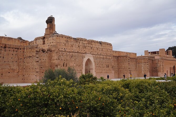 Marrakech The History and Culture Day Trip - Cultural Immersion in Marrakech