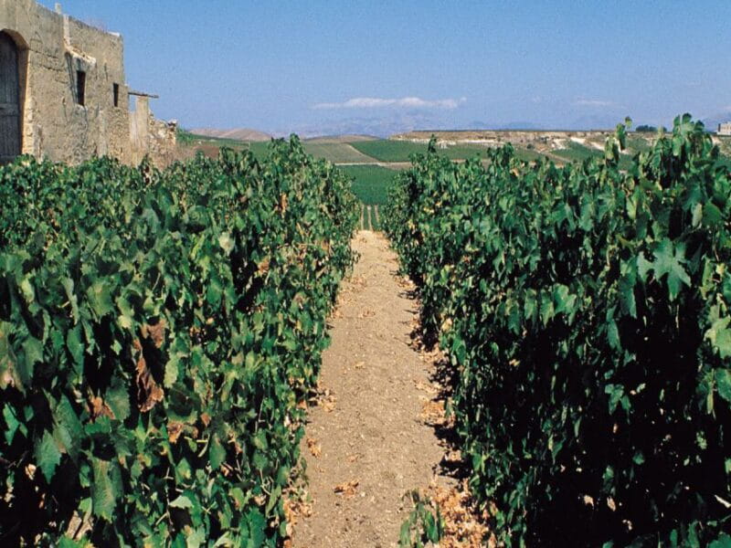 Marsala: Winery Tour with Wine Tasting and Local Products - Introducing the Marsala Winery Tour: A Taste of Sicily’s Famous DOC Wines