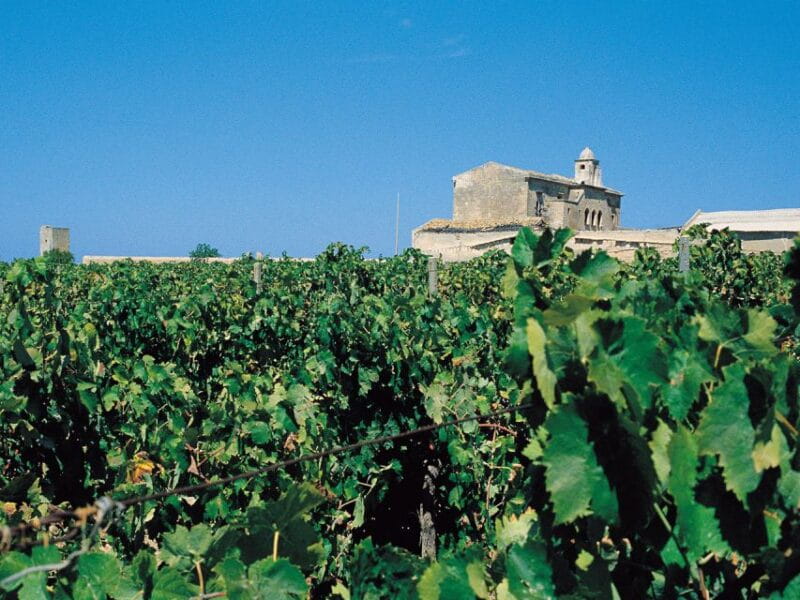 Marsala: Winery Tour with Wine Tasting and Local Products - Why This Experience Offers Real Value