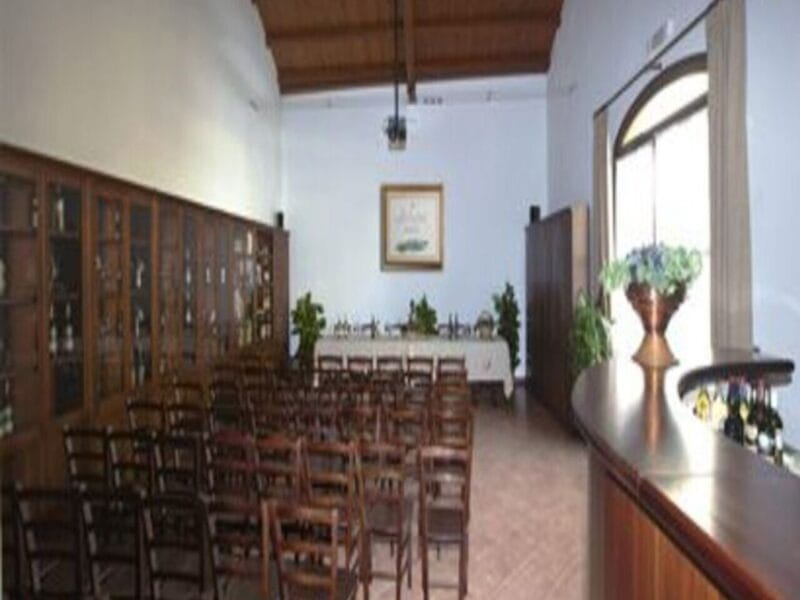 Marsala: Winery Tour with Wine Tasting and Local Products - Price and Logistics: A Simple, Budget-Friendly Option