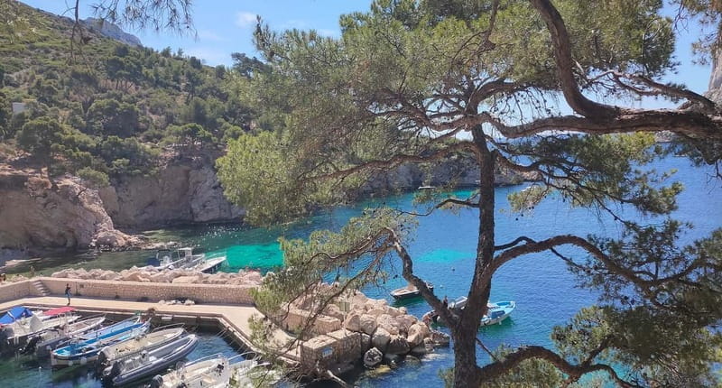 Marseille, Aix-en-Provence & Cassis 7-Hour Tour - The Charm of Aix-en-Provence’s Markets and Streets