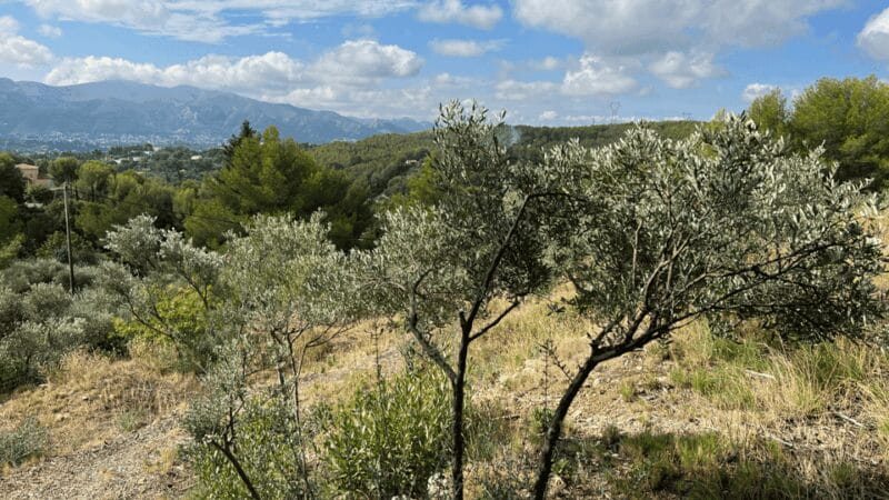 Marseille - Allauch: between tradition, history and nature - FAQ