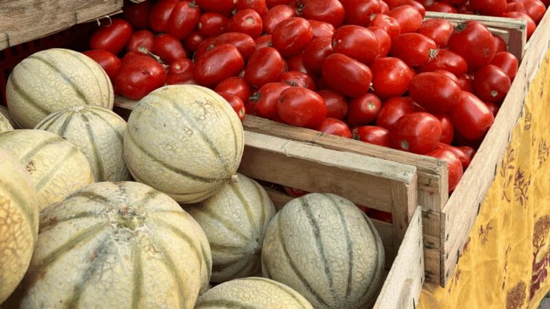 Marseille and Aix-en-Provence: culture, history and art of living - Aix-en-Provence: Art, Markets, and the Provençal Spirit