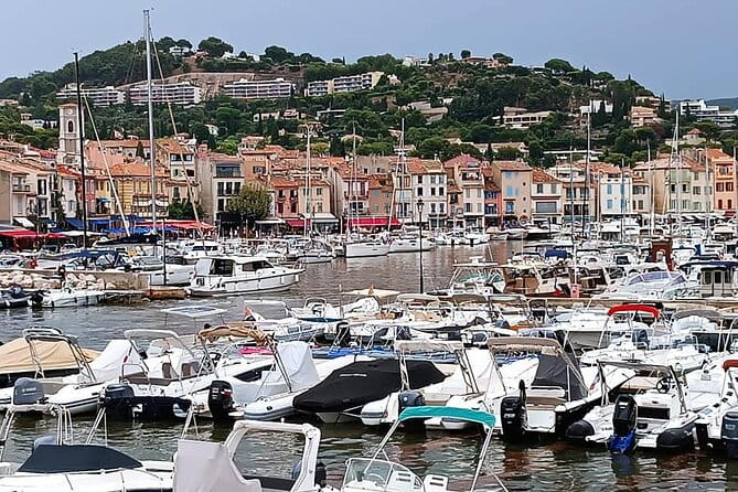 Marseille and Cassis Private Full-Day Tour - Key Points / Takeaways