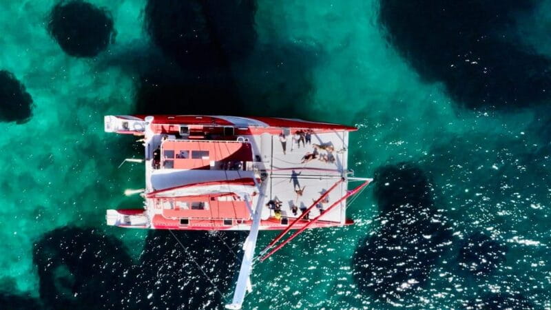 Marseille : Calanques Catamaran Cruise with Lunch & Wine - Exploring the Calanques: A Day of Natural Marvels and Comfort