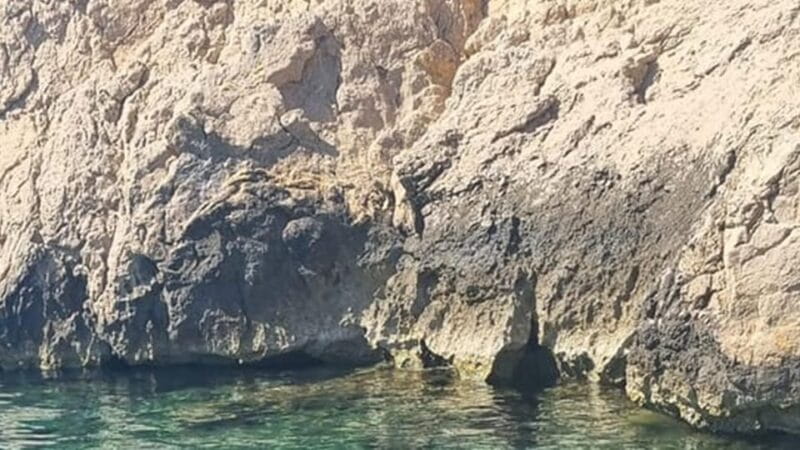 Marseille: Calanques National Park Eco-Friendly Cruise - Key points / Takeaways